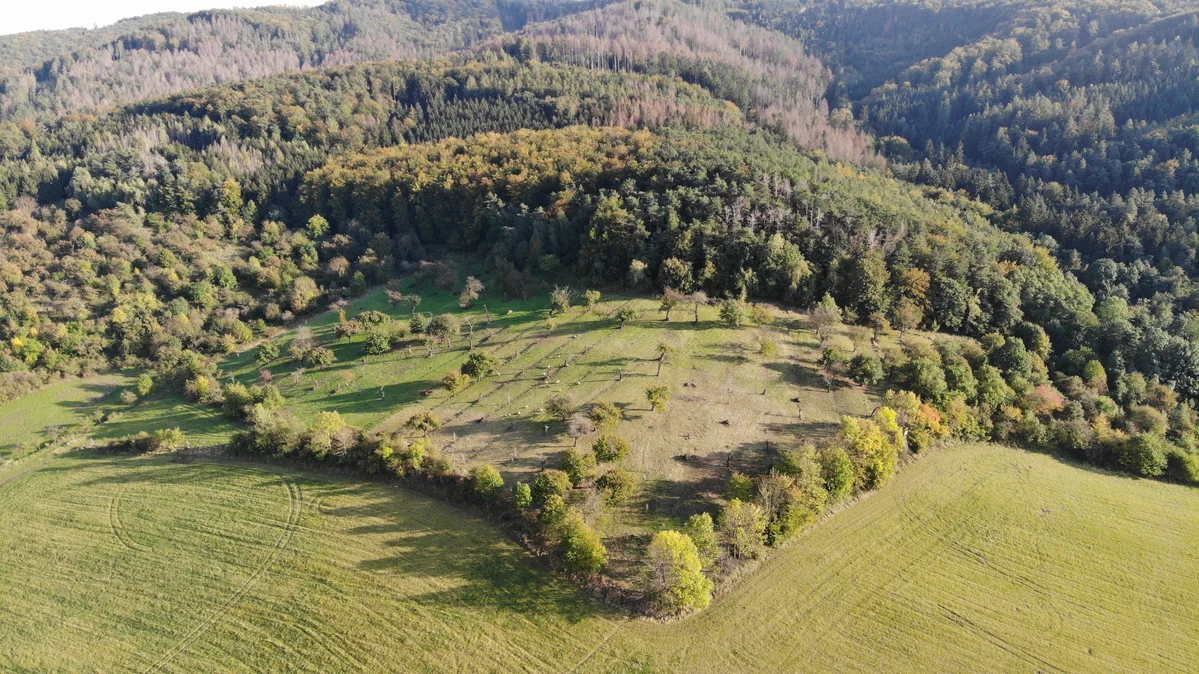 2020 - Celkový přehled - 20